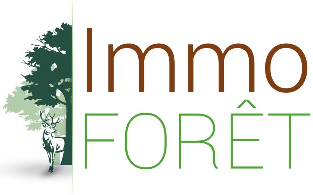 SIM ECO-DEVELOPPEMENT – rédaction de contenu