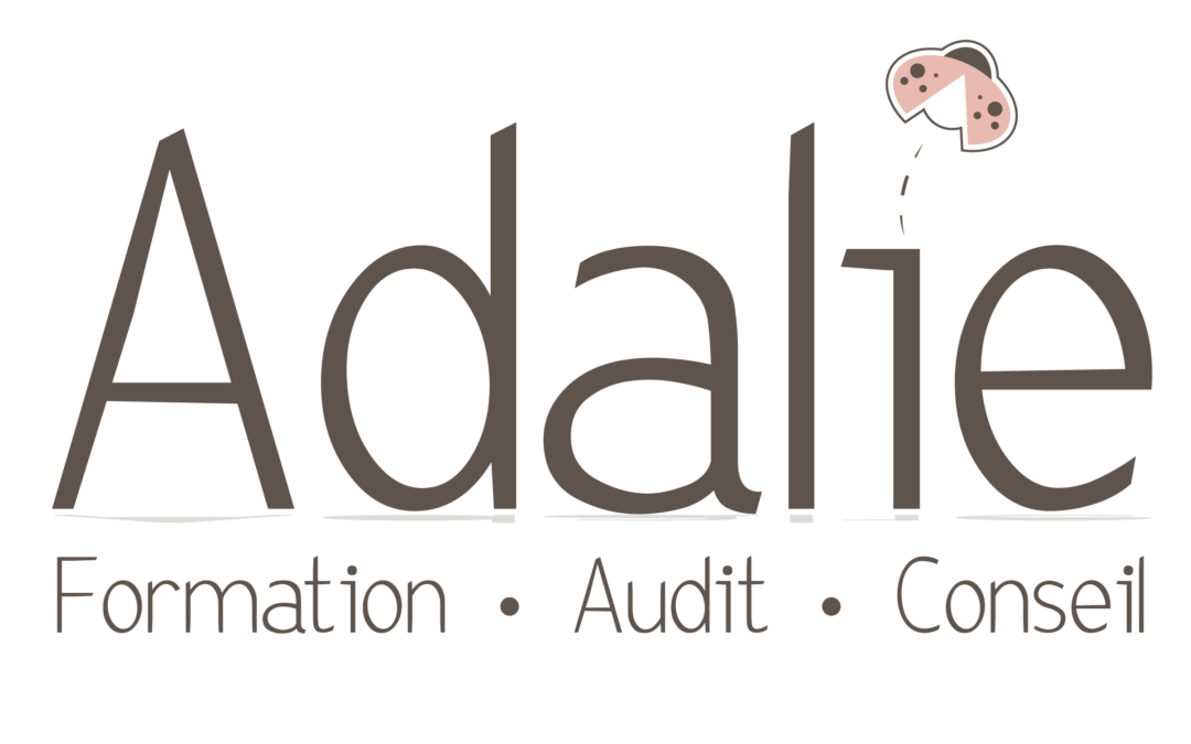 ADALIE FORMATION – animation de formations