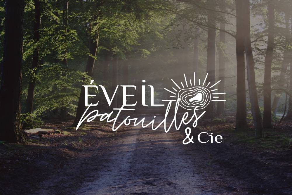 Eveil, patouilles & Cie – identité visuelle