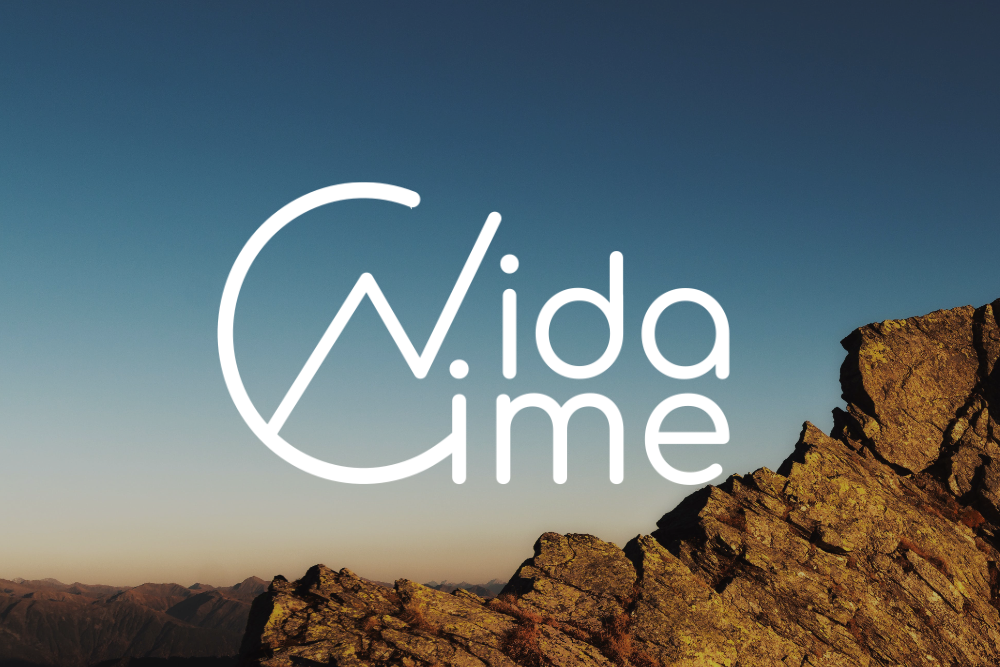 vidacime – identité visuelle